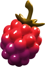 raspberry